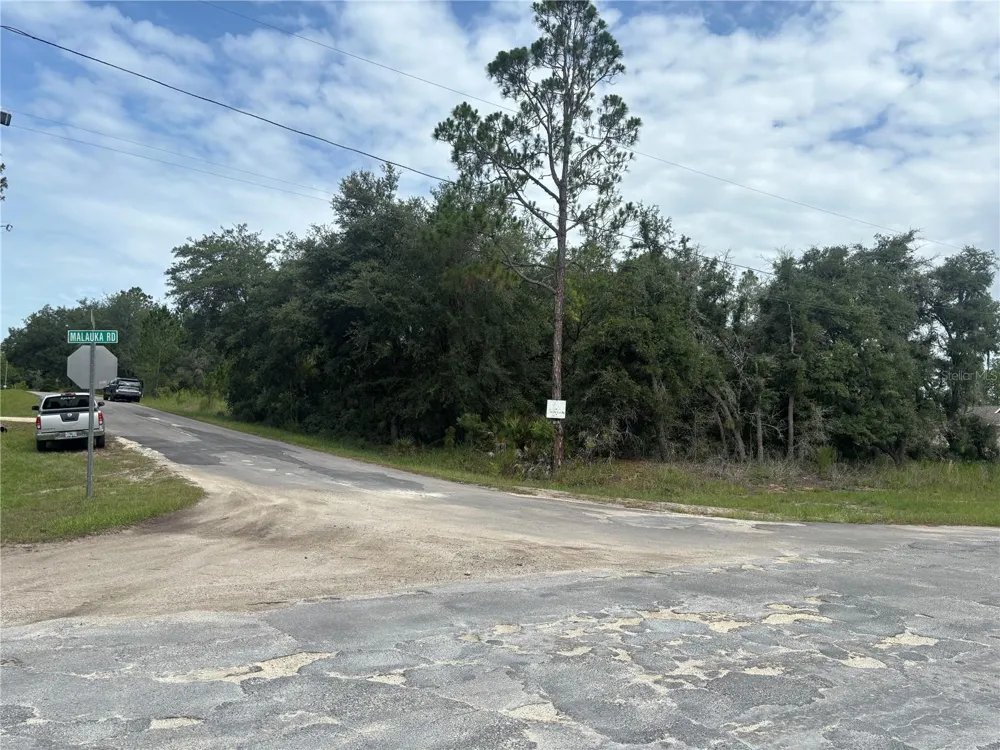 0000 MALAUKA PLACE Ocklawaha, FL 32179