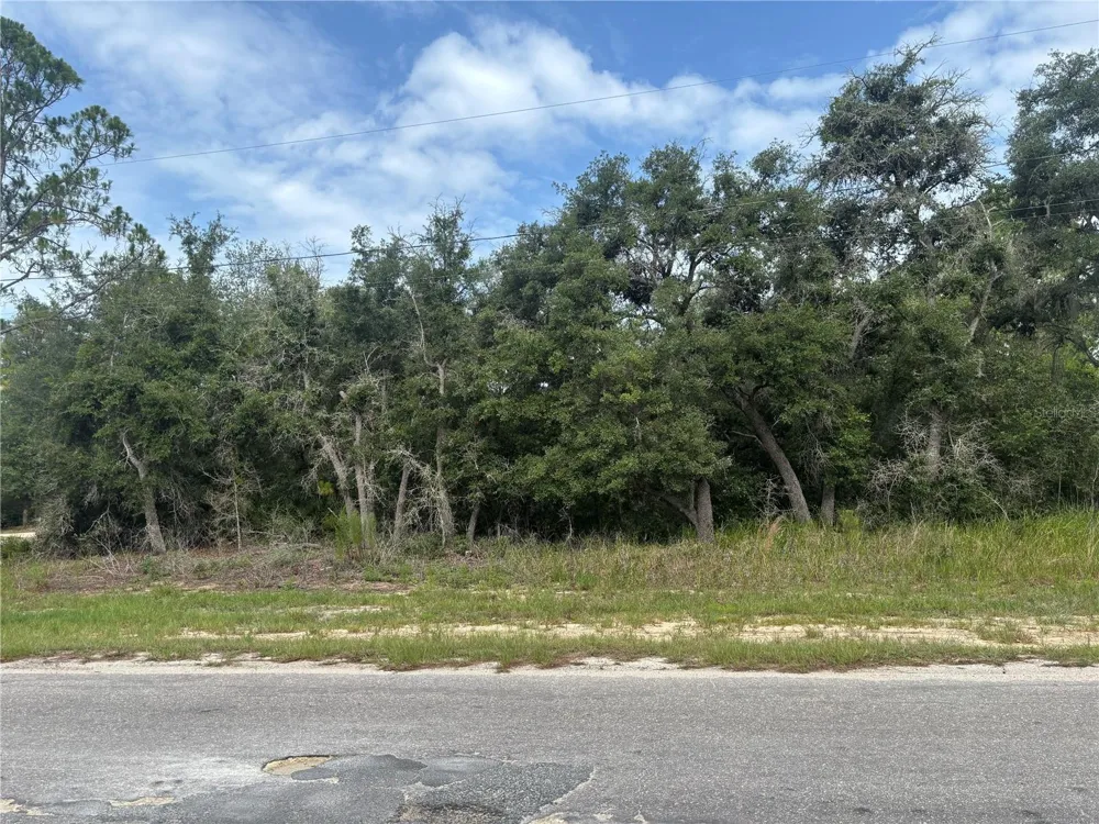0000 MALAUKA PLACE Ocklawaha, FL 32179