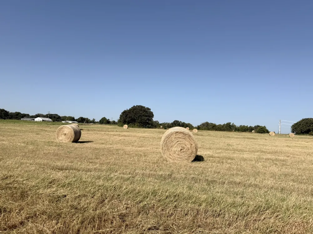 County Road 2121 Gainesville, TX 76240