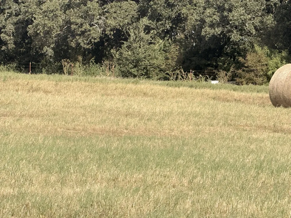 County Road 2121 Gainesville, TX 76240