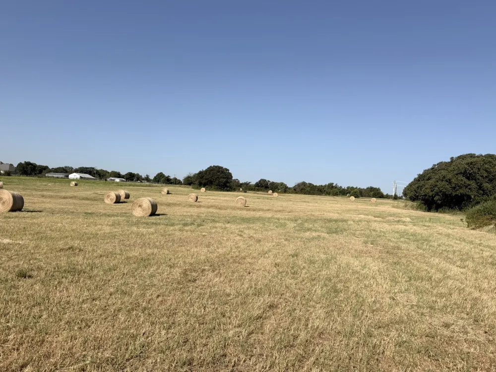 County Road 2121 Gainesville, TX 76240