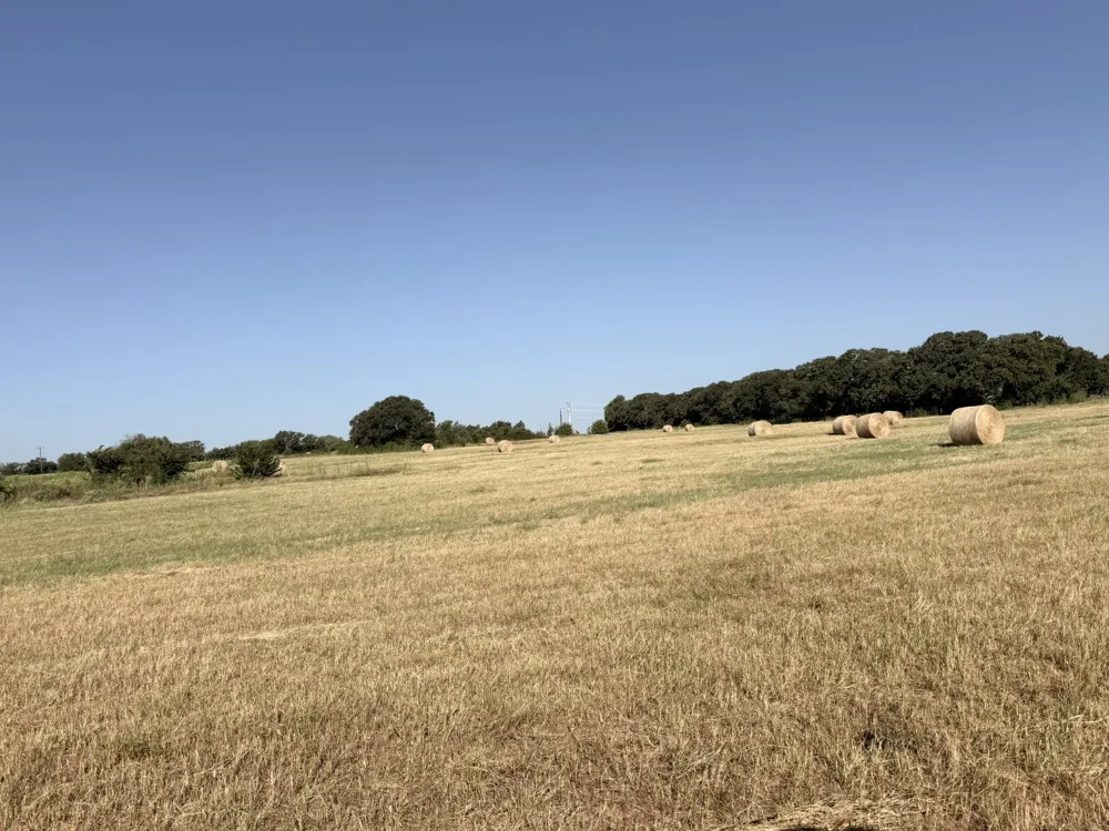 County Road 2121 Gainesville, TX 76240