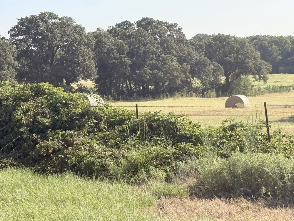 County Road 2121 Gainesville, TX 76240