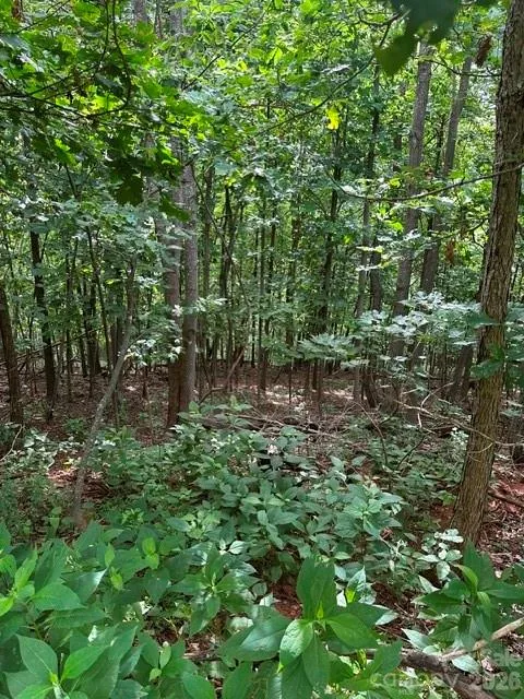 0 Cove Gap Road #1