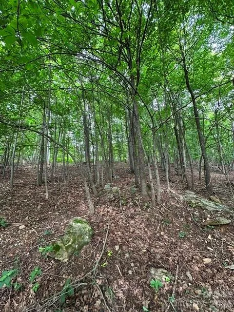 0 Cove Gap Road #1 Moravian Falls, NC 28654