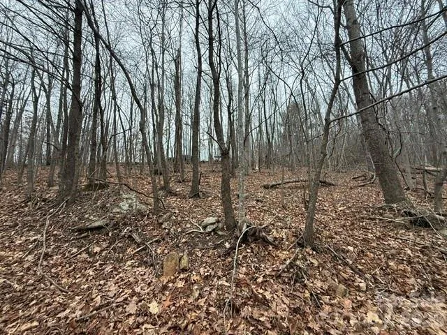 0 Cove Gap Road #1 Moravian Falls, NC 28654