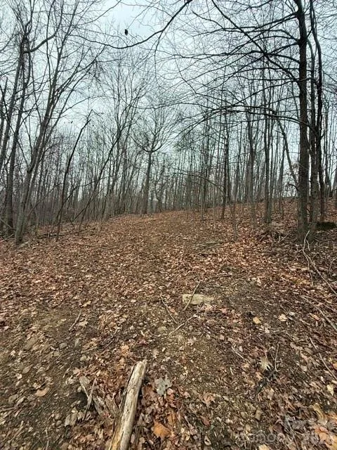 0 Cove Gap Road #1 Moravian Falls, NC 28654