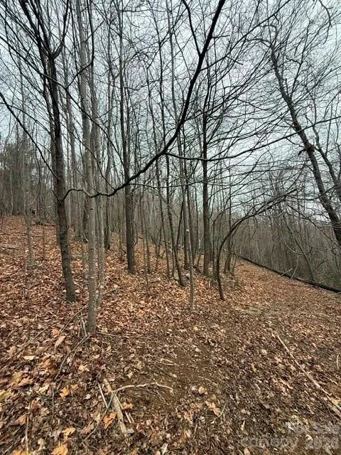 0 Cove Gap Road #1 Moravian Falls, NC 28654