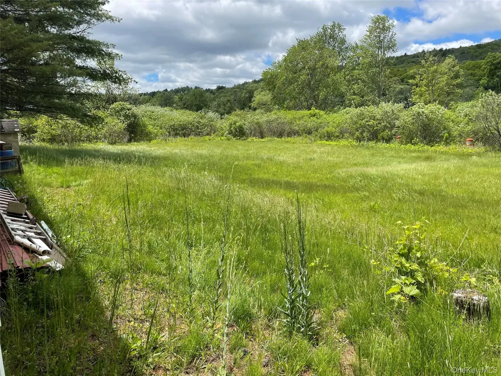 163 Fire House Road Wurtsboro, NY 12781