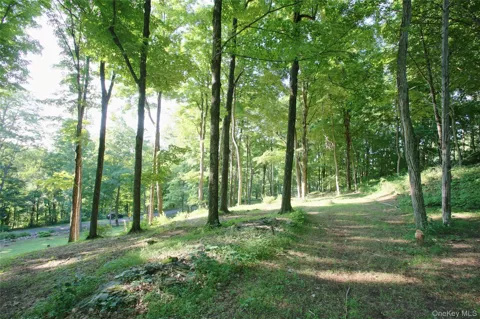Pond Road