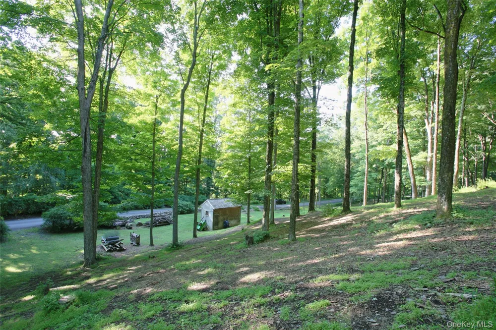 Pond Road Rhinebeck, NY 12572
