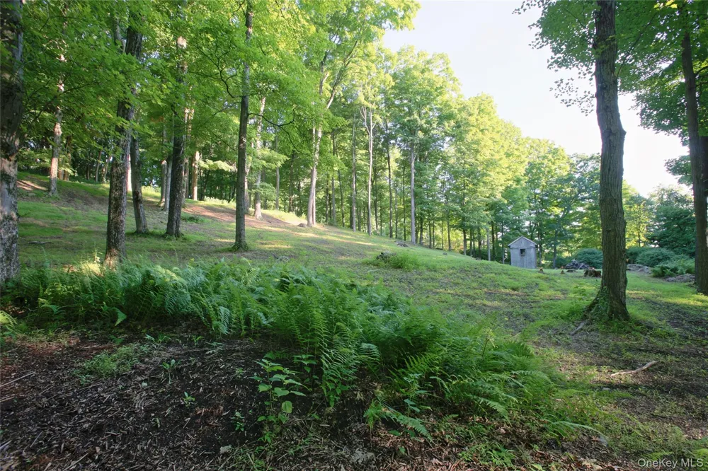 Pond Road Rhinebeck, NY 12572
