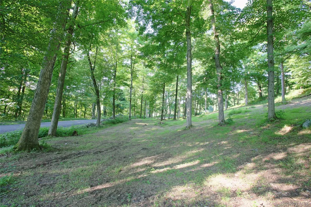 Pond Road Rhinebeck, NY 12572