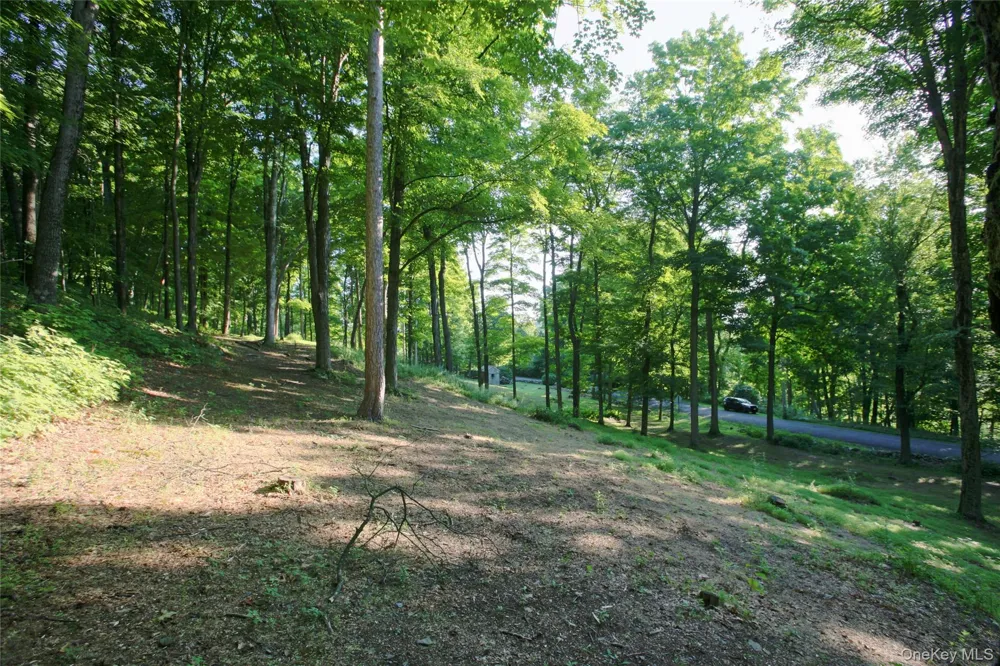 Pond Road Rhinebeck, NY 12572