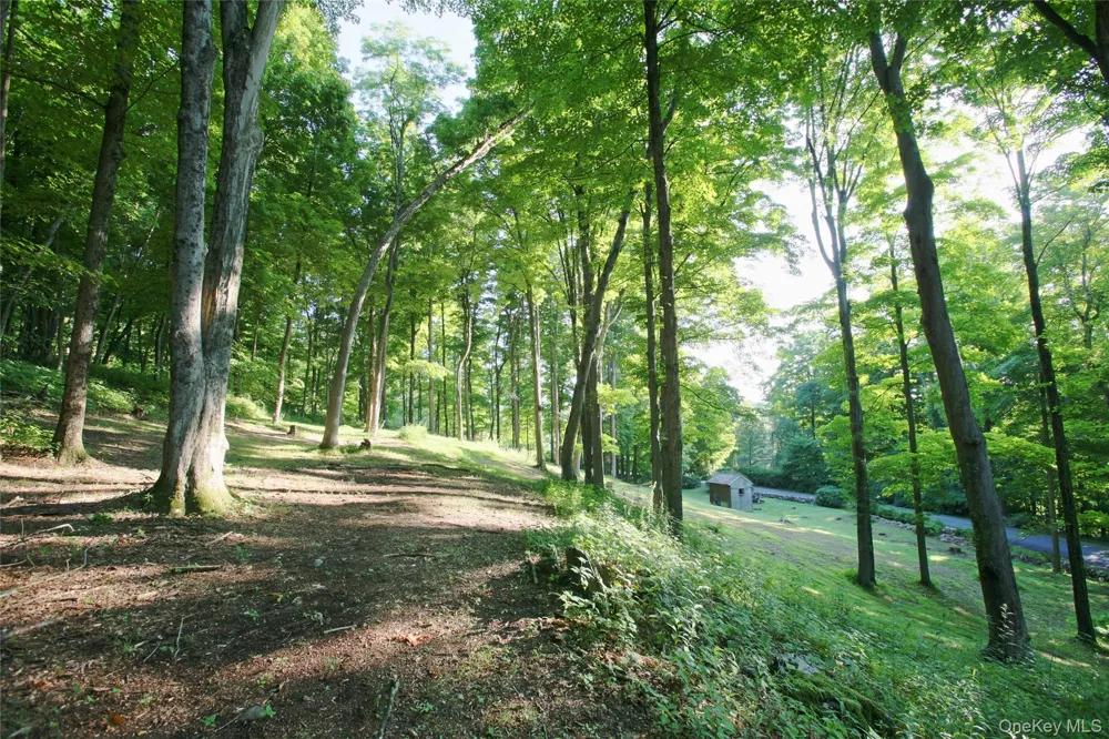 Pond Road Rhinebeck, NY 12572
