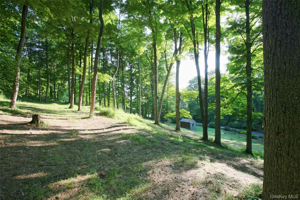 Pond Road Rhinebeck, NY 12572