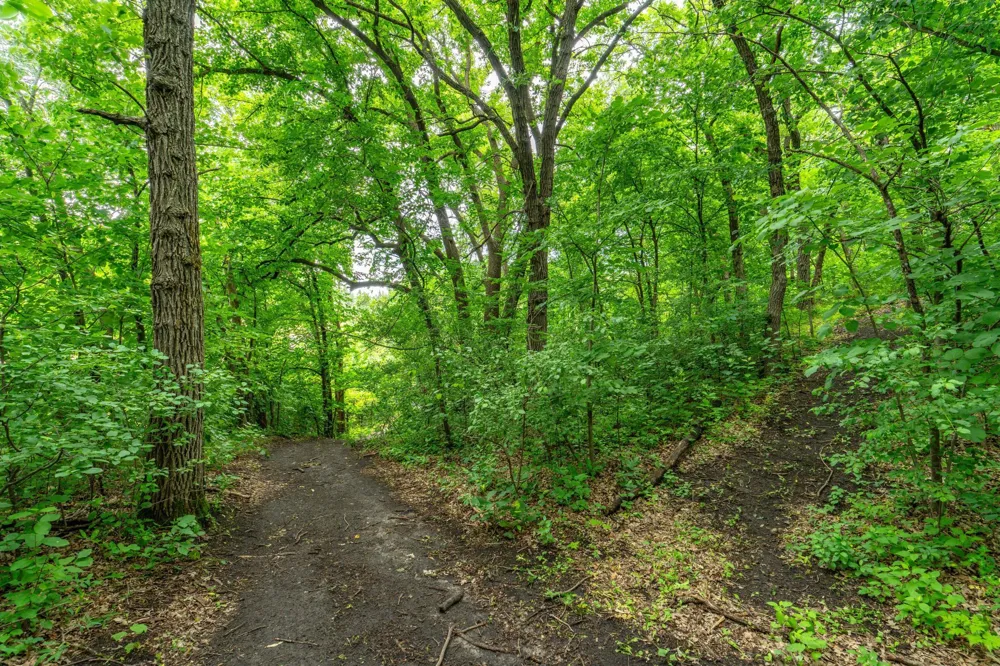 23256 Rus Dic Circle Fergus Falls, MN 56537