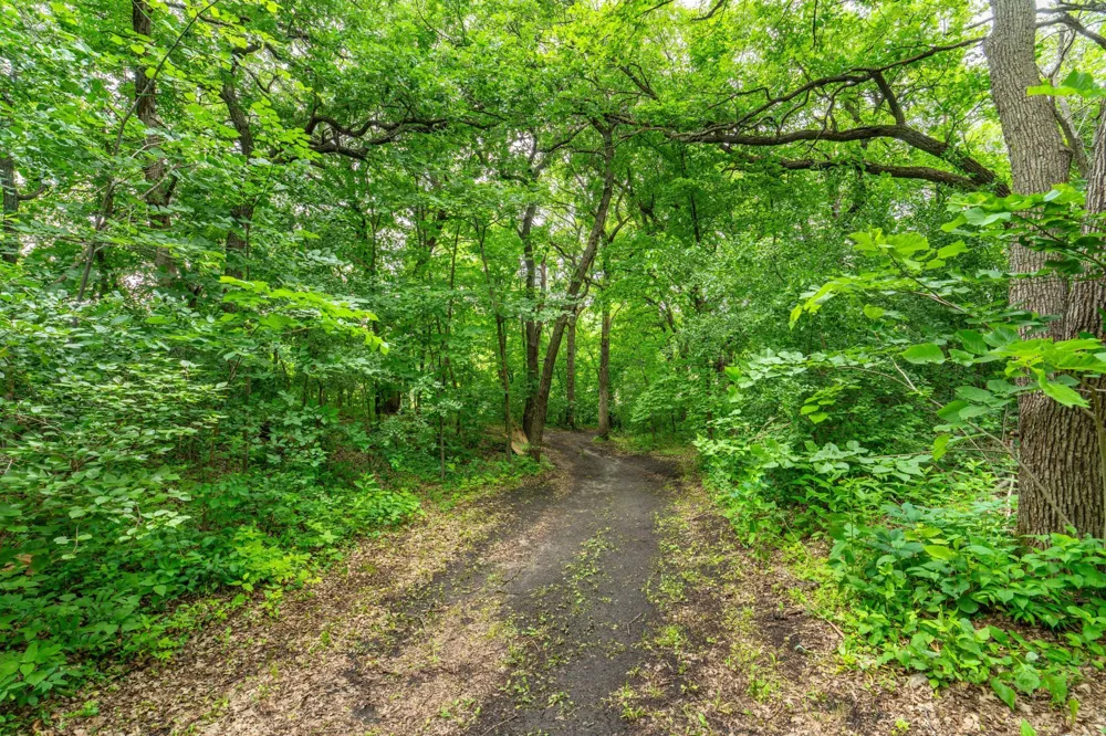 23256 Rus Dic Circle Fergus Falls, MN 56537