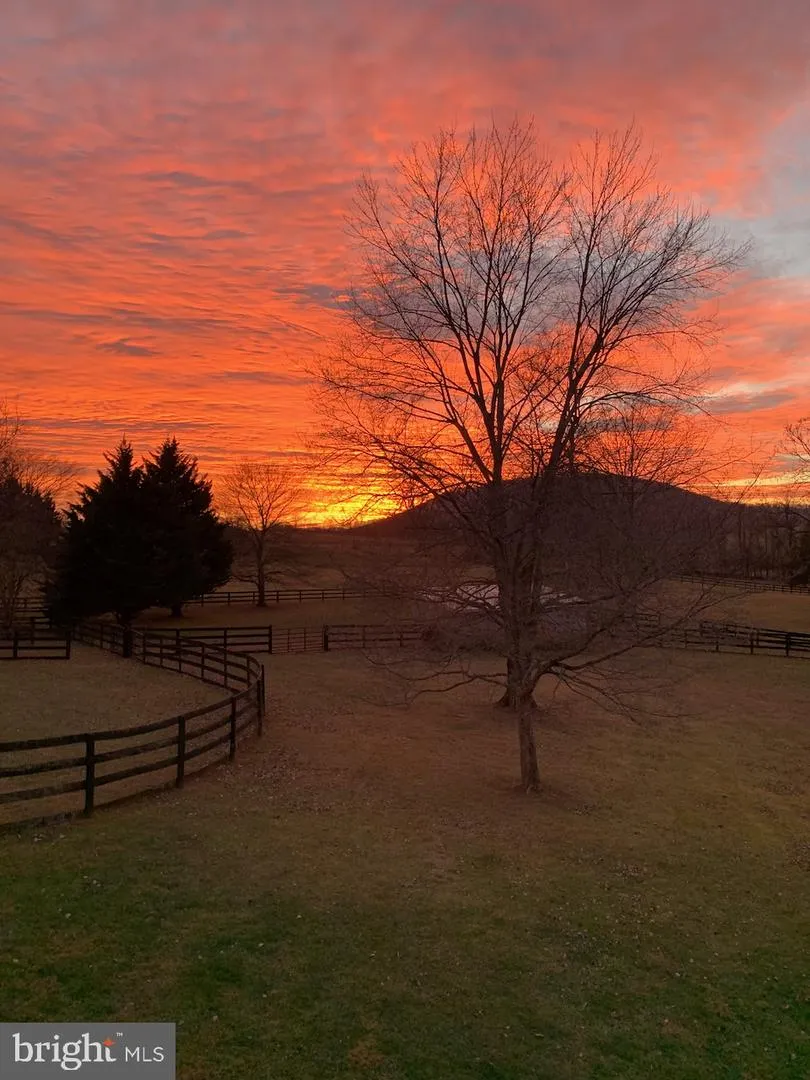 9491 WALSINGHAM LANE Marshall, VA 20115