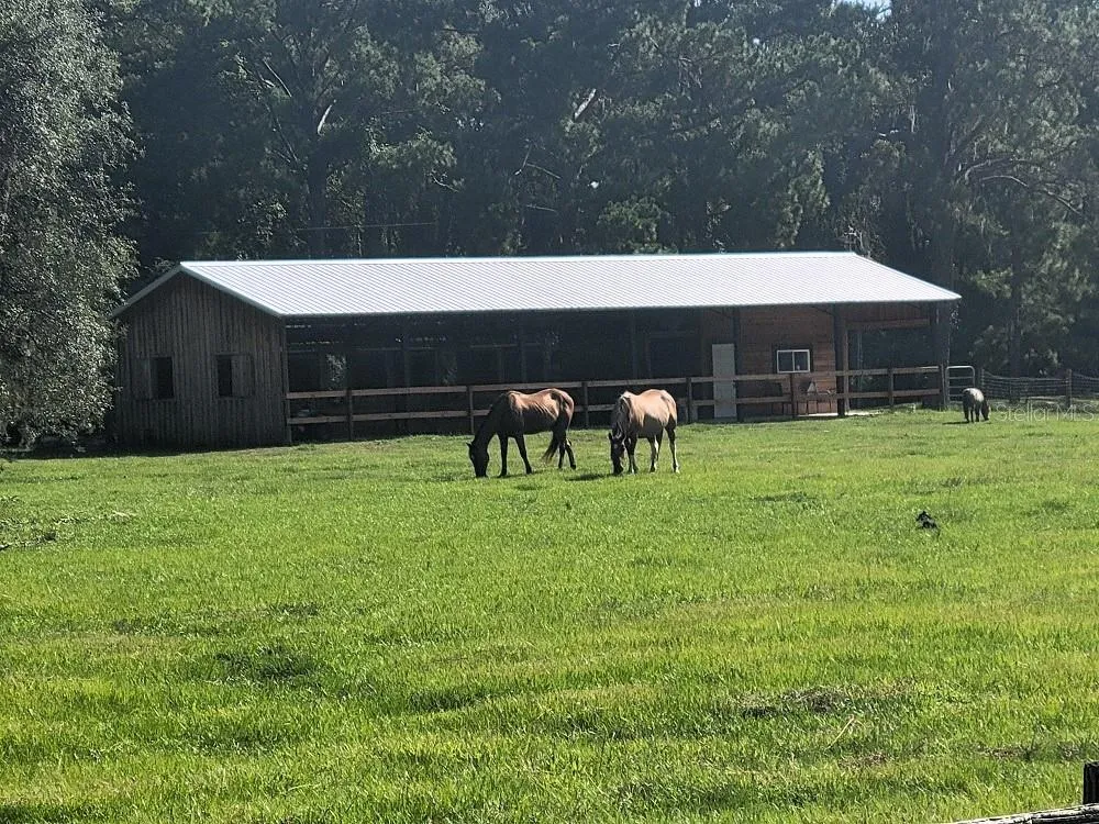 2484 CULBREATH ROAD Brooksville, FL 34602