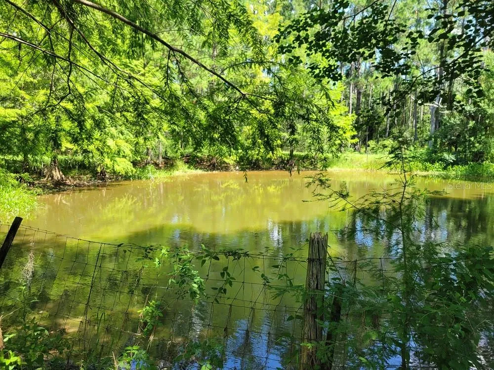 2484 CULBREATH ROAD Brooksville, FL 34602