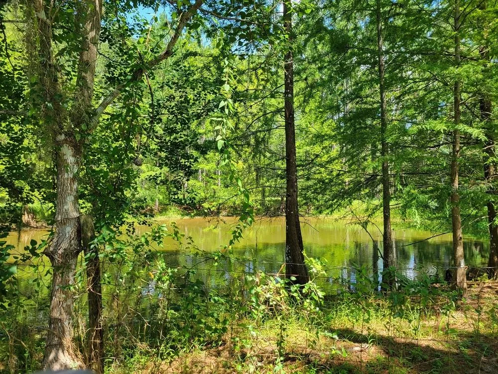 2484 CULBREATH ROAD Brooksville, FL 34602