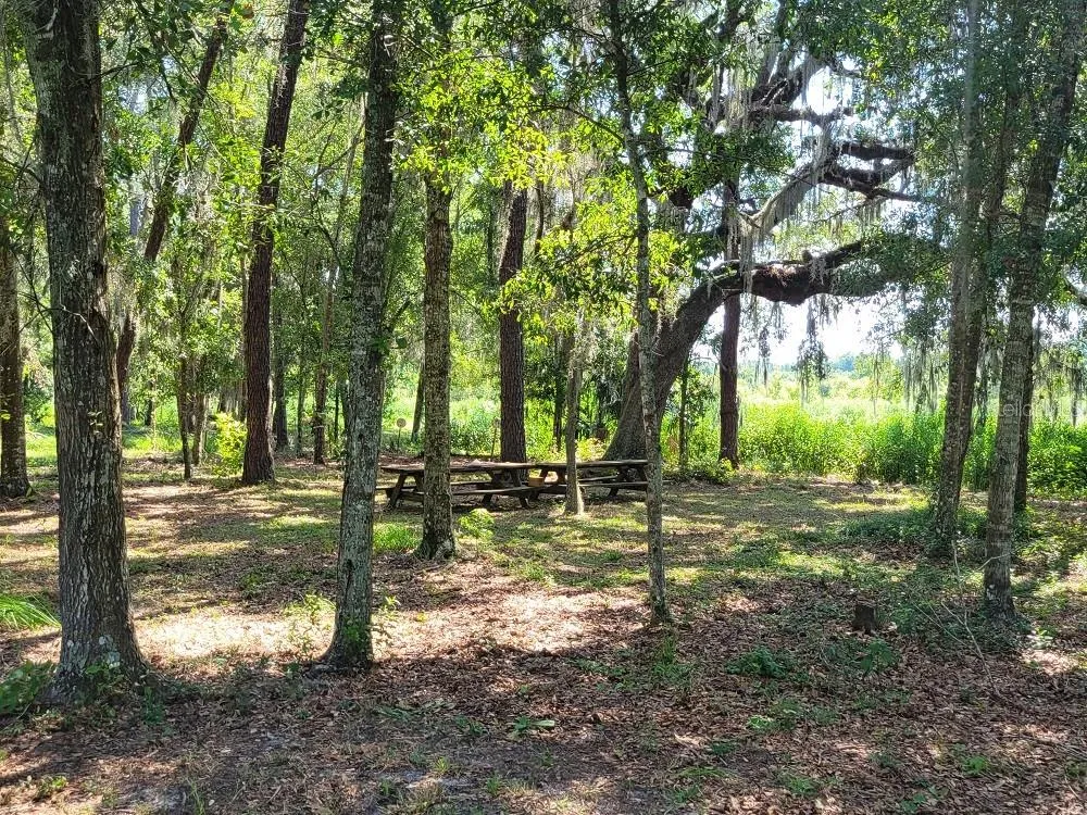 2484 CULBREATH ROAD Brooksville, FL 34602