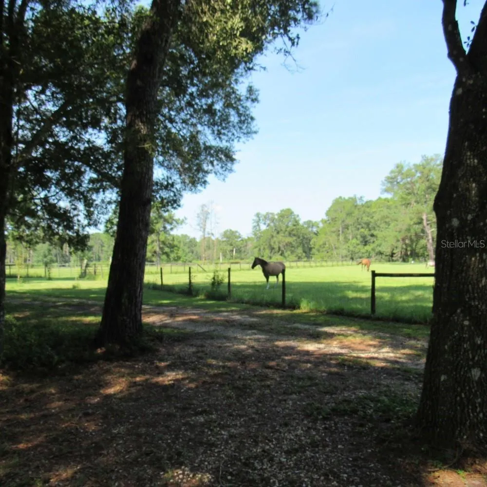 2484 CULBREATH ROAD Brooksville, FL 34602