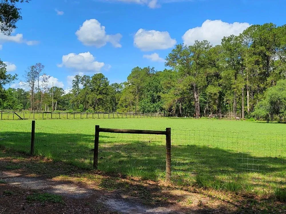 2484 CULBREATH ROAD Brooksville, FL 34602