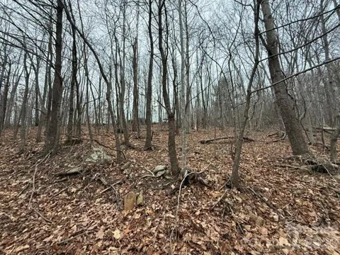 0 Cove Gap Road #2