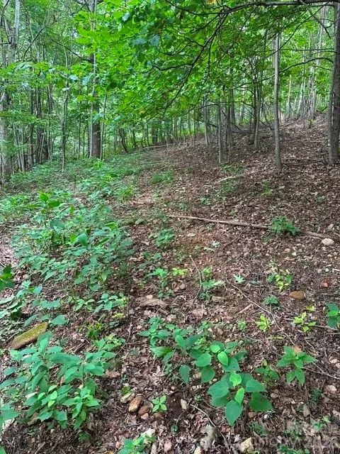 0 Cove Gap Road #2 Moravian Falls, NC 28654