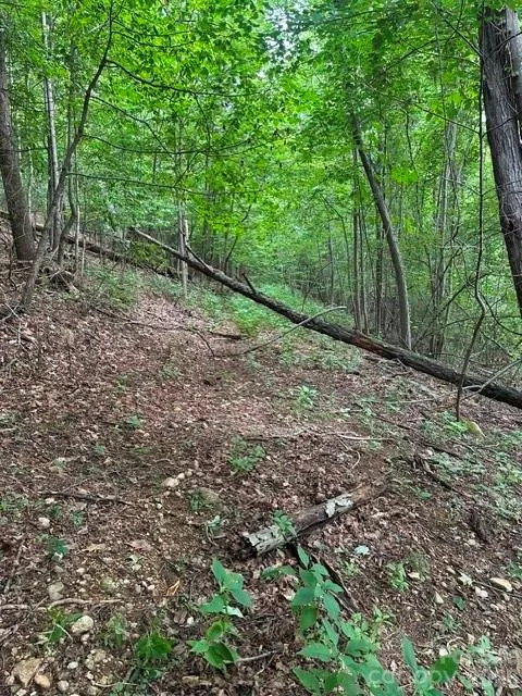 0 Cove Gap Road #2 Moravian Falls, NC 28654