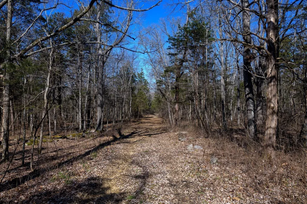 0 Eastover Rd Lebanon, TN 37090