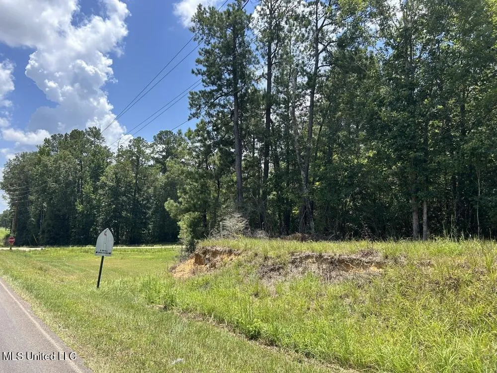 Tbd Hwy 570/River Road N And S Summit, MS 39666