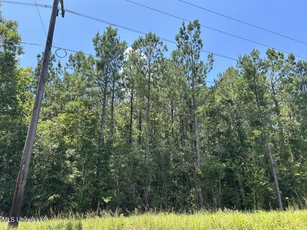 Tbd Hwy 570/River Road N And S Summit, MS 39666