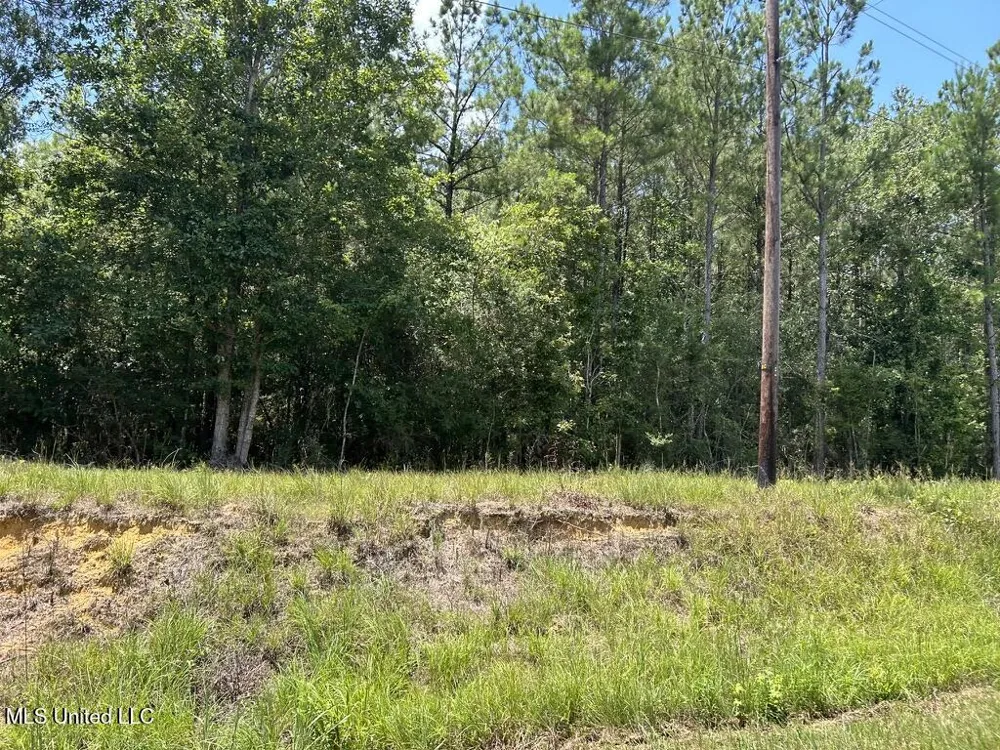 Tbd Hwy 570/River Road N And S Summit, MS 39666