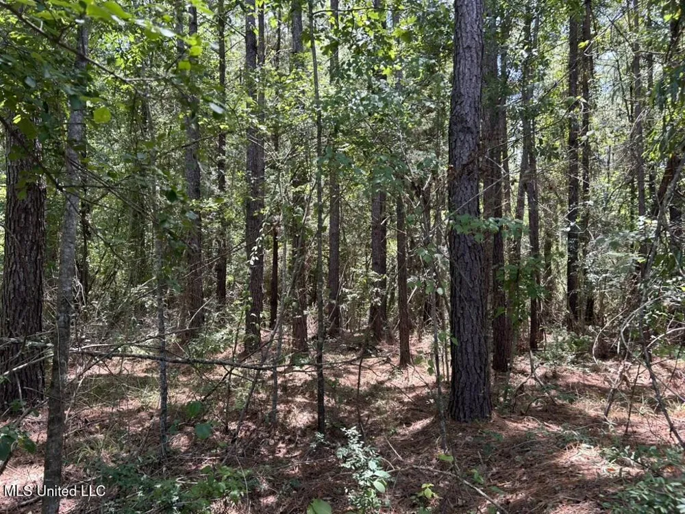 Tbd Hwy 570/River Road N And S Summit, MS 39666