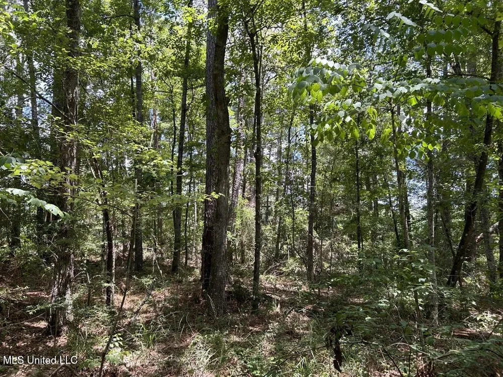 Tbd Hwy 570/River Road N And S Summit, MS 39666