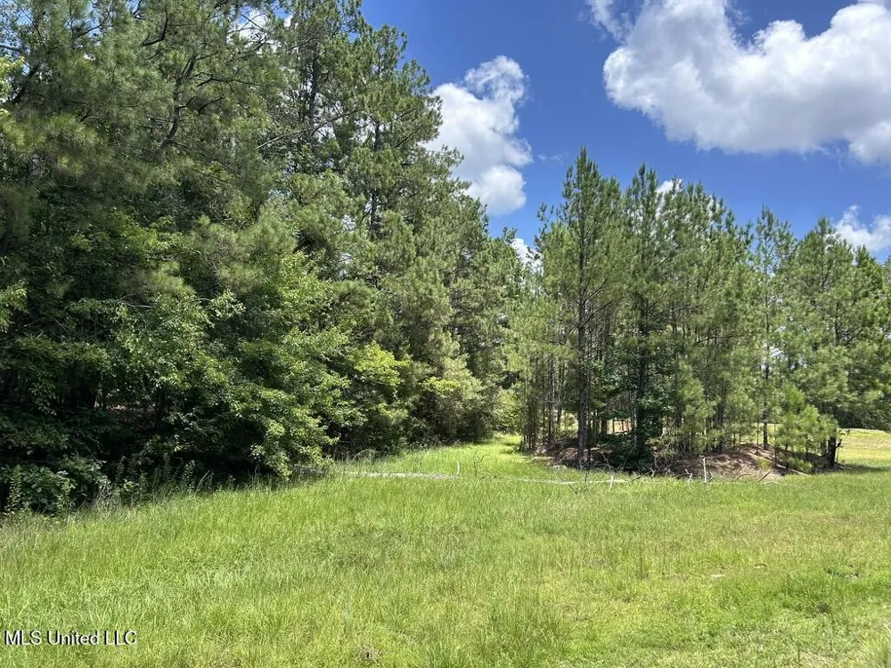 Tbd Hwy 570/River Road N And S Summit, MS 39666