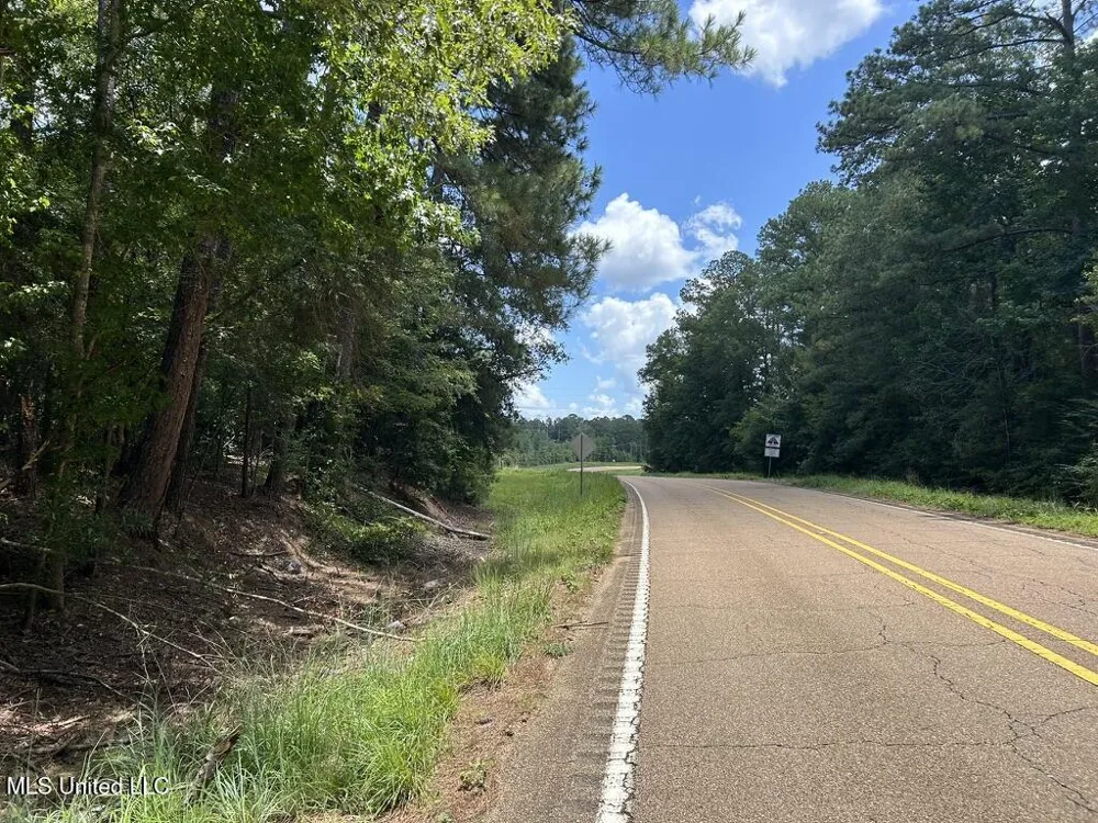 Tbd Hwy 570/River Road N And S Summit, MS 39666