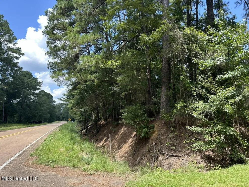 Tbd Hwy 570/River Road N And S Summit, MS 39666