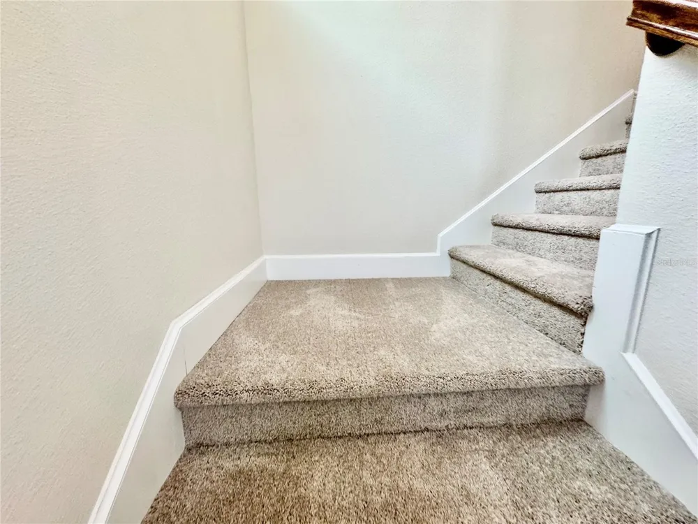7208 MILESTONE DRIVE Apollo Beach, FL 33572