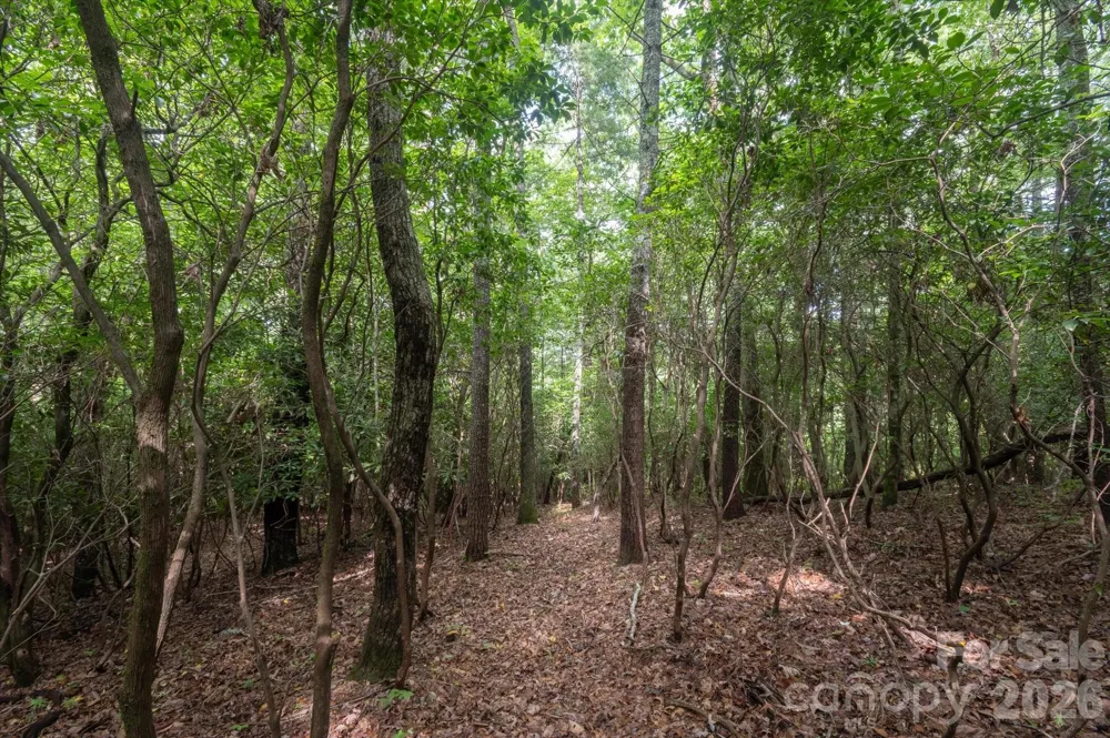 K29 Chestnut Trace #K 29 Lake Toxaway, NC 28747