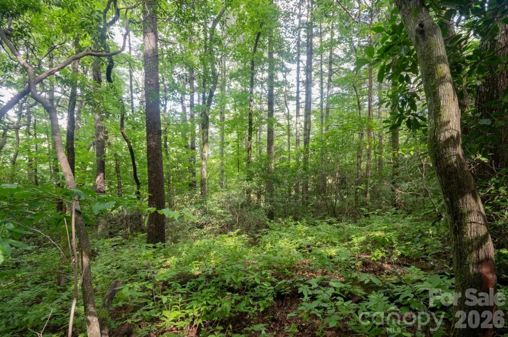 K29 Chestnut Trace #K 29 Lake Toxaway, NC 28747