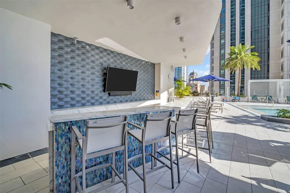 275 1ST AVENUE S #2807 St Petersburg, FL 33701