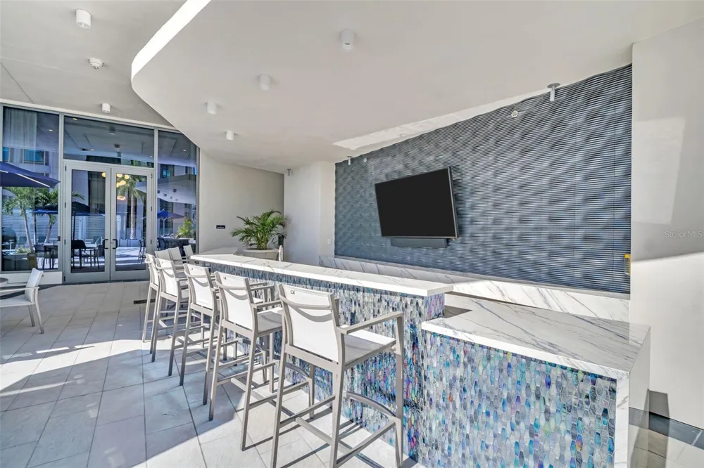 275 1ST AVENUE S #2807 St Petersburg, FL 33701