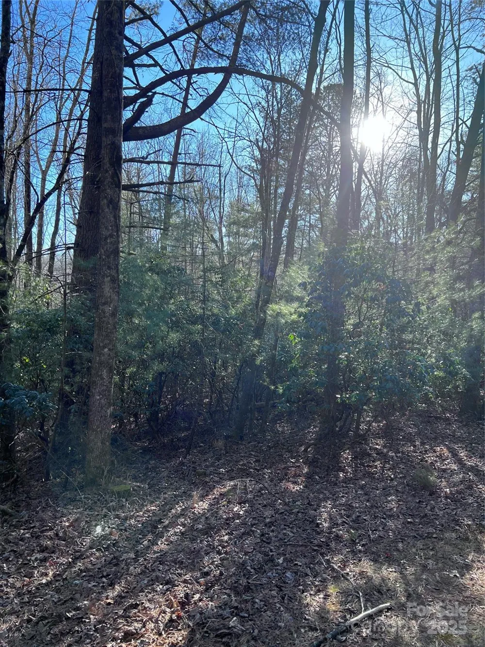 L26 Konnaneeta Trail #U03 L026 Brevard, NC 28712