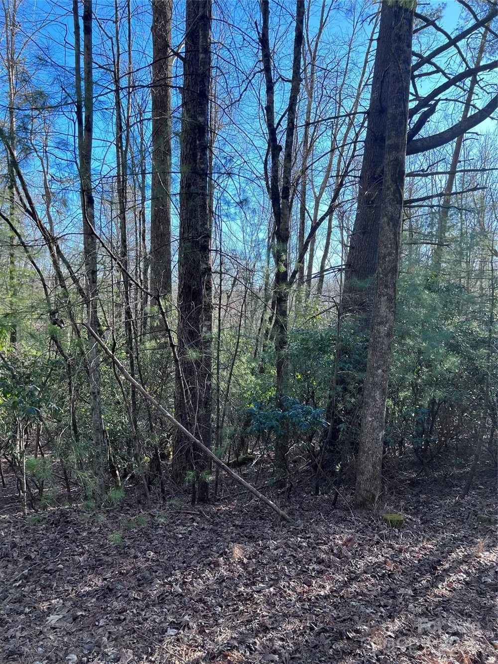 L26 Konnaneeta Trail #U03 L026 Brevard, NC 28712