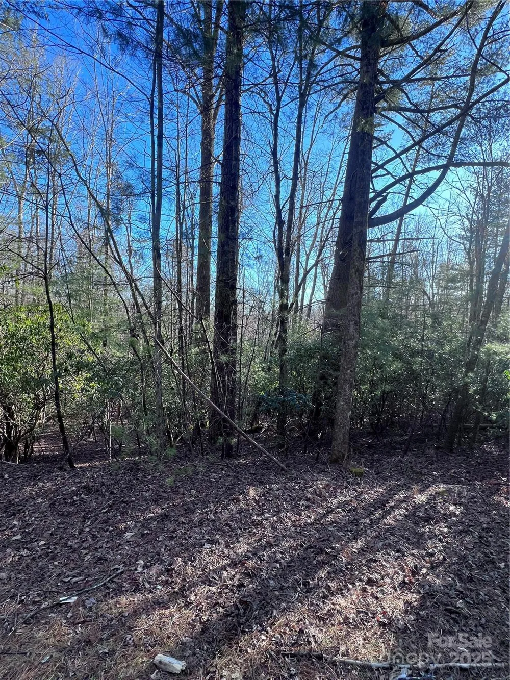 L26 Konnaneeta Trail #U03 L026 Brevard, NC 28712