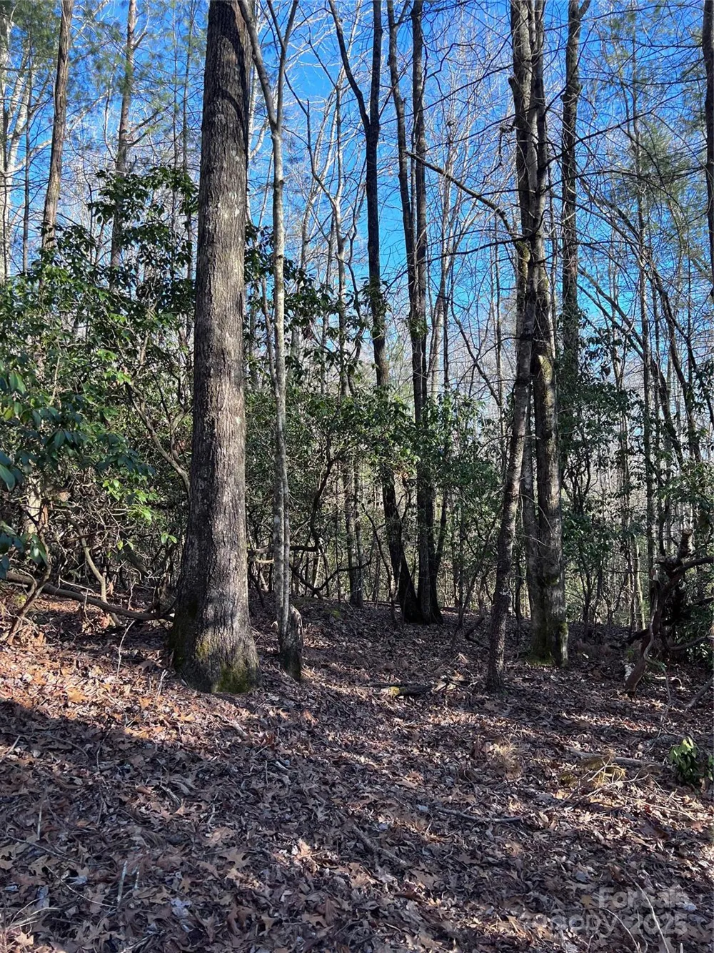 L26 Konnaneeta Trail #U03 L026 Brevard, NC 28712